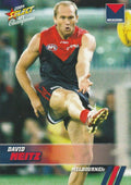 David Neitz #120 Melbourne Demons | 2008 Select AFL Champions