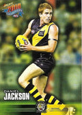 Daniel Jackson #141 Richmond Tigers | 2010 Select AFL Champions