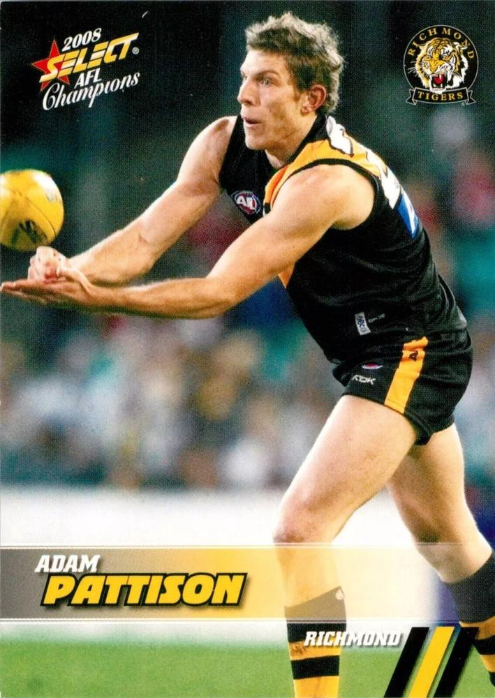 Adam Pattison #142 Richmond Tigers | 2008 Select AFL Champions