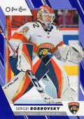 Sergei Bobrovsky #143 Florida Panthers | 2023-24 O-Pee-Chee Blue Border