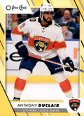 Anthony Duclair #247 Florida Panthers | 2023-24 O-Pee-Chee Yellow Border