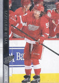 Tyler Bertuzzi #317 Detroit Red Wings | 2020-21 Upper Deck