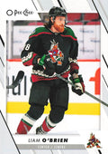 Liam O'Brien #322 Arizona Coyotes | 2023-24 O-Pee-Chee Hockey