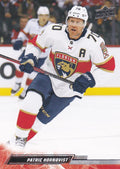 Patric Hornqvist #331 Florida Panthers | 2022-23 Upper Deck