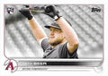 Seth Beer #345 Arizona Diamondbacks (Holding bat above head) | 2022 Topps