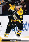 Pavel Zacha #512 Boston Bruins | 2022-23 Upper Deck