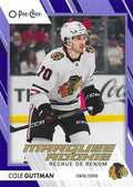 Cole Guttman #547 Chicago Blackhawks | 2023-24 O-Pee-Chee Blue Border