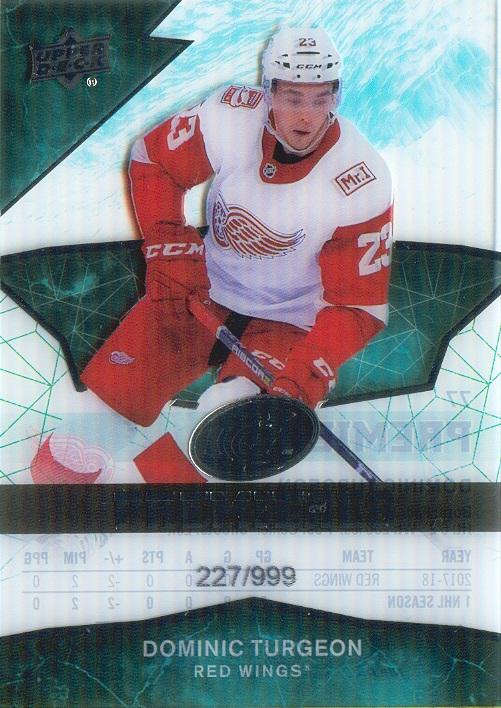 Dominic Turgeon #77 Detroit Red Wings | 2018-19 Upper Deck Ice