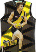 Brett Deledio #GDC139 Richmond Tigers | 2010 Select AFL Champions - Holographic Guernseys