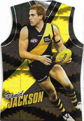 Daniel Jackson #GDC141 Richmond Tigers | 2010 Select AFL Champions - Holographic Guernseys