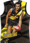 Richard Tambling #GDC145 Richmond Tigers | 2010 Select AFL Champions - Holographic Guernseys